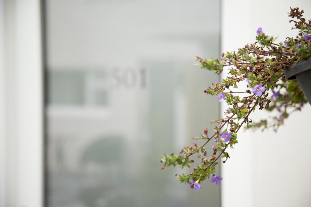 Kerno Apartments Reykjavík Dış mekan fotoğraf