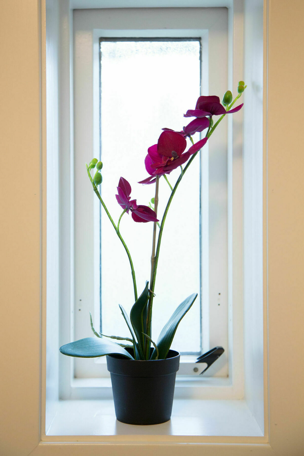 Kerno Apartments Reykjavík Dış mekan fotoğraf